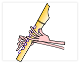 Digit recorder